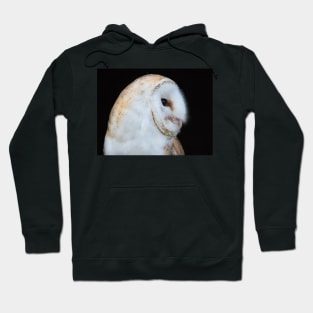Close up view of a barn owl Hoodie